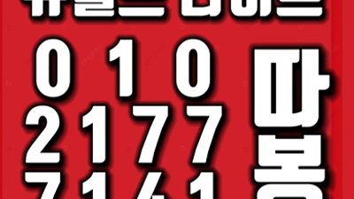 밤의 무게를 벗어던진 밤: 울산뉴월드 나이트에서의 작은 탈출