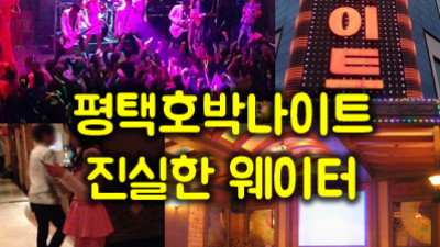호박 속 황금빛 밤: 평택호박나이트에서의 단편 로맨스